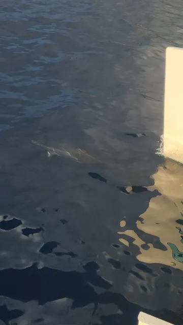 A sunset sail to remember