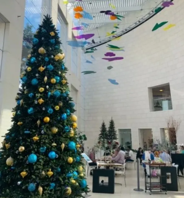 🏛️ Telfair Museums | A Trio of Art, History & Architecture