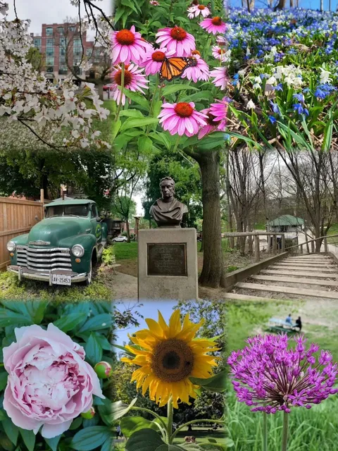 🇨🇦 Hidden Gem in Downtown Toronto: Trinity Bellwoods Park 🌳✨