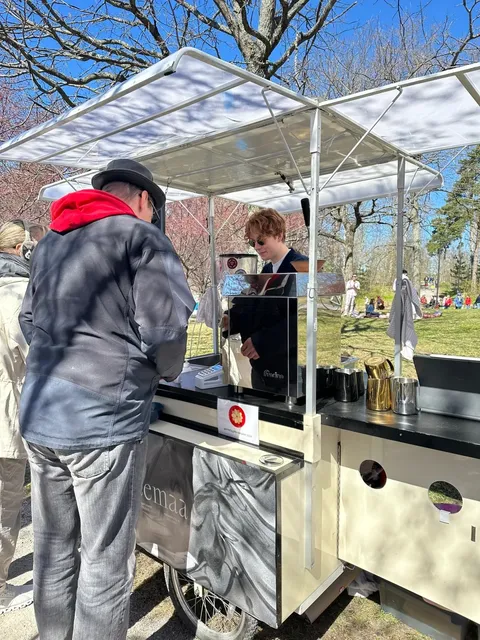 In Finland!! Today's Cherry Blossom Viewing and Spring Outing 🌸📸