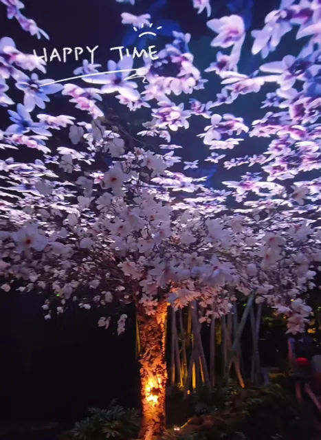 Free Light and Shadow Exhibition in New York! 🌟✨