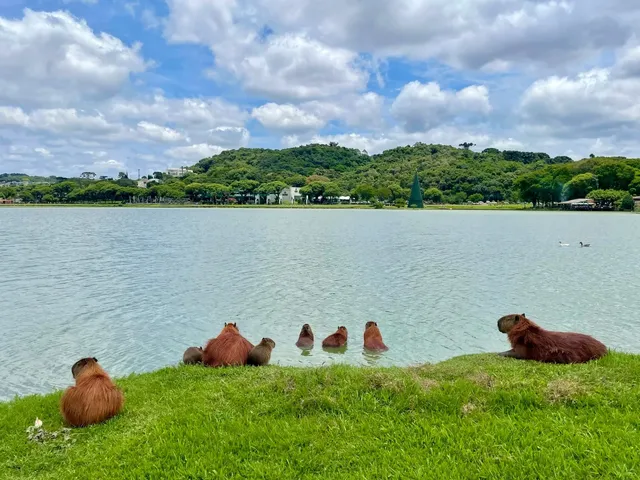 This Underrated Brazilian City Can Be Summed Up in One Word 👉 CURITIB