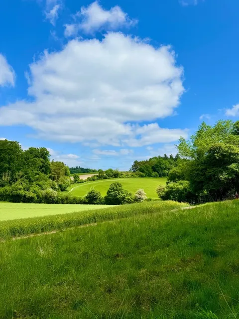 🌸 Spring in Reading: A Fairytale Hike Just Outside London
