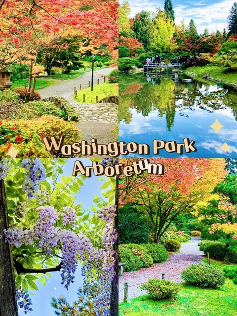 Seattle Must-Visit Spots for Strolling & Staying Active(part 2)