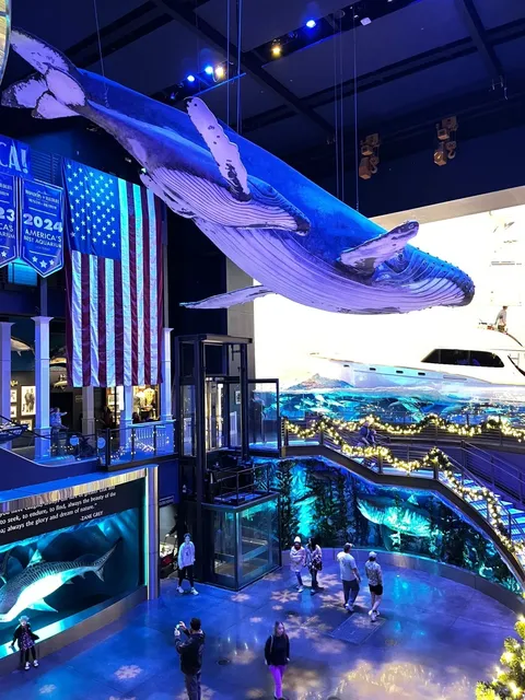 🐠 Wonders of Wildlife National Museum