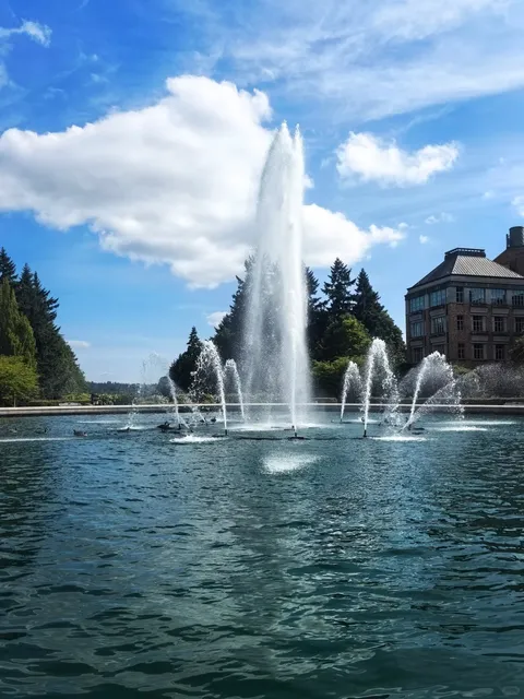 University Tour in the US | University of Washington, Seattle 🌸🏛️