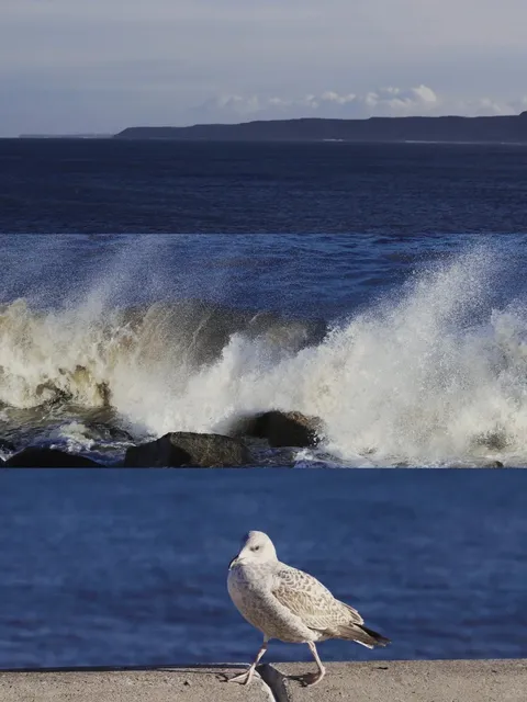 🇬🇧 UK Travel | A Blue Dream: Winter Seaside Escape Near Leeds 🌊❄️