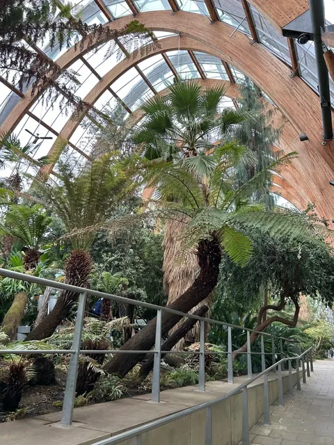 🇬🇧 Sheffield One-Day Itinerary Review