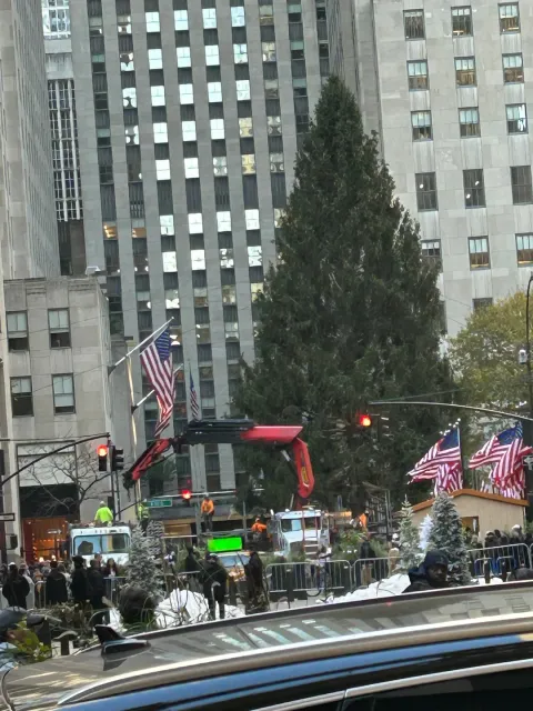 A Beautiful Hotel – Highly Recommended! 🌸🏨