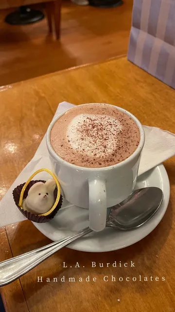 Boston Rainy Day Cafés 10/100 ☕️🌧