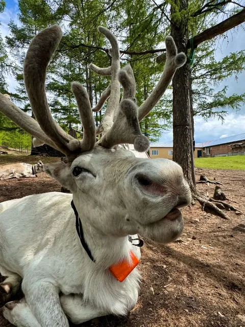 The Early Summer in Hulunbuir is Stunning!!! 😍
