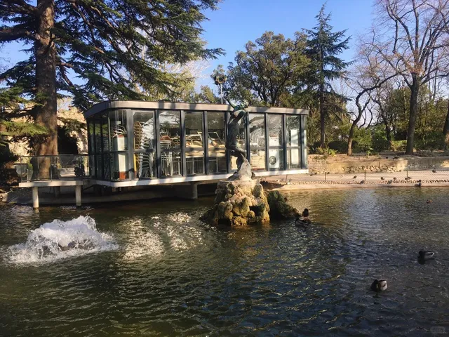 🇫🇷 Half-Day in Avignon: A Perfect Provençal Escape ☀️🏰