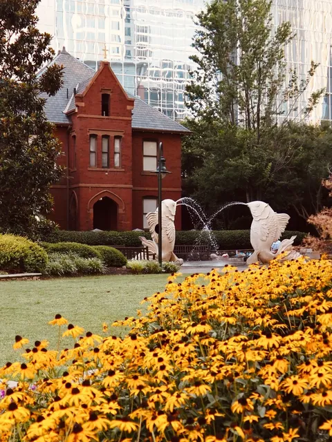 ✈️ Charlotte Adventure: Soaring Above the Queen City! 🌆