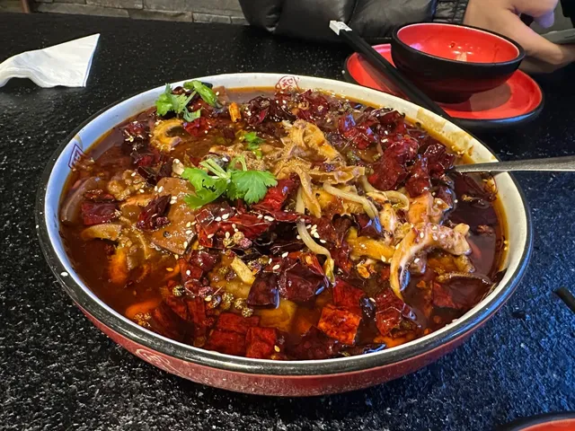 South Island NZ Food Guide: Hits & Misses 🍽️