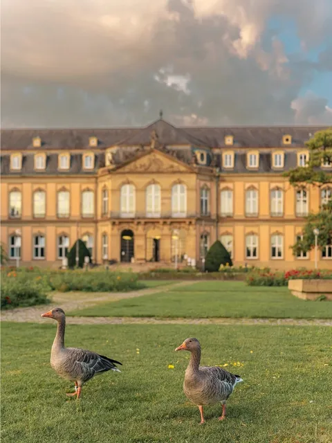 City Walk in Stuttgart City Center 🏃🏻‍♂️