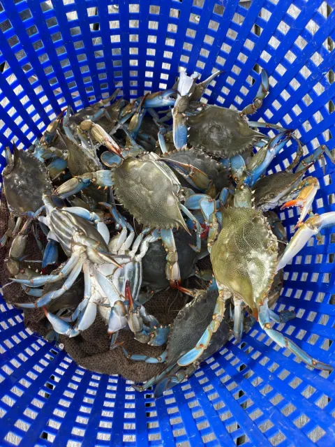 Best Excursion Ever!!! 🌟