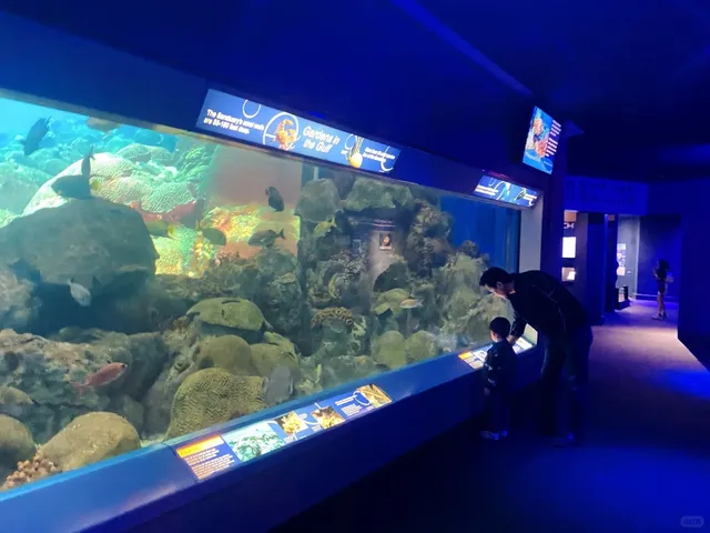 🌊 Corpus Christi, Texas: A Beach Getaway 🏖️