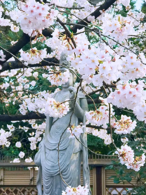 The Serenity of Honsei-ji Temple