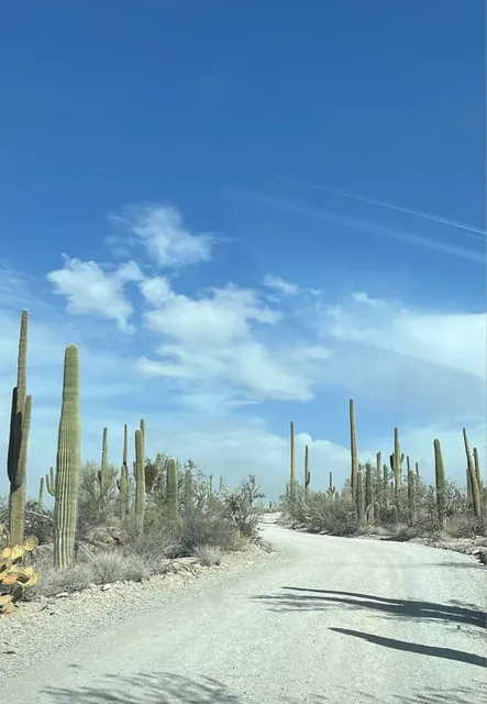 Arizona Travel Guide: Phoenix & Tucson Adventures! 🌆🌵