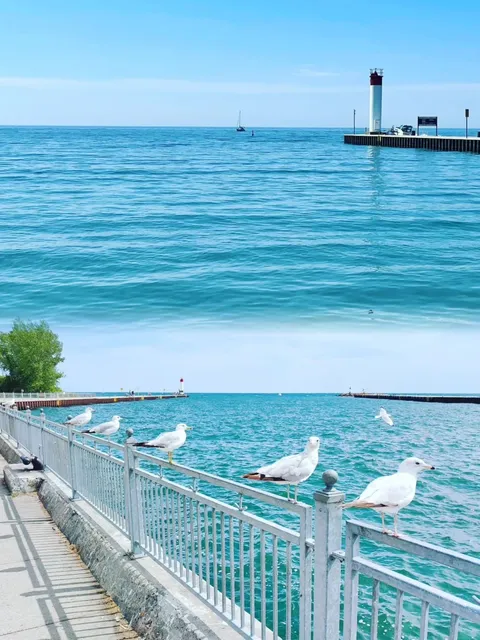 Toronto Must-Visit Spot | Stunning Romantic Sunset Lighthouse 🌅📸