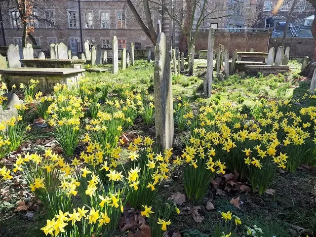 Write Like Blake in London’s Secret Garden!​​ ✍️🌹