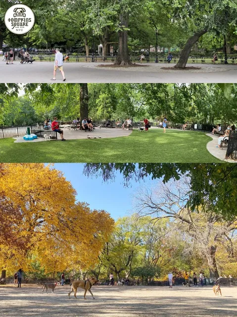  Inside the Redesigned Tompkins Square Dog Run!