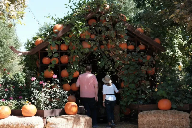 🎃🌟 Los Angeles Super-Sized Pumpkin Farm | Live Oak Canyon 🌟🎃