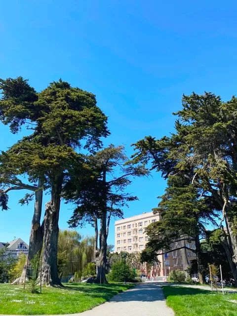 San Francisco Hidden Gem: Alamo Square - No Crowds, All Vibes! 🌈📸