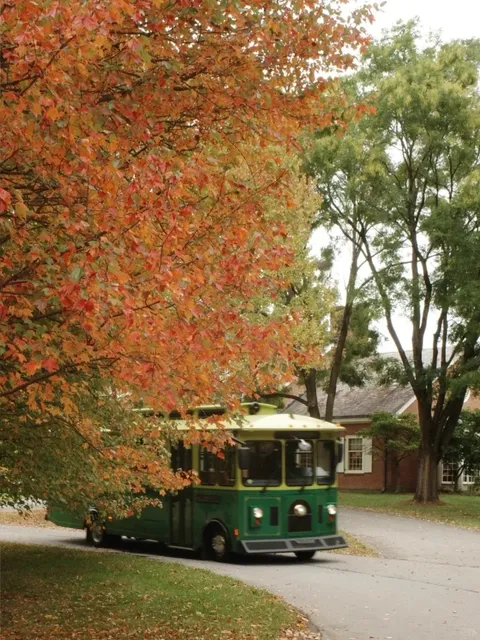 Report! This weekend is perfect for leaf-peeping in Upstate New York! 