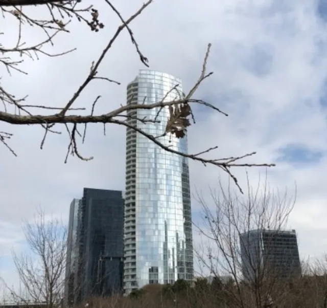 Dallas Two-Day Trip Diary 🏙️