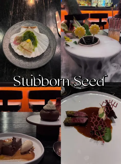 Miami Dining | Stubborn Seed Michelin ⭐️