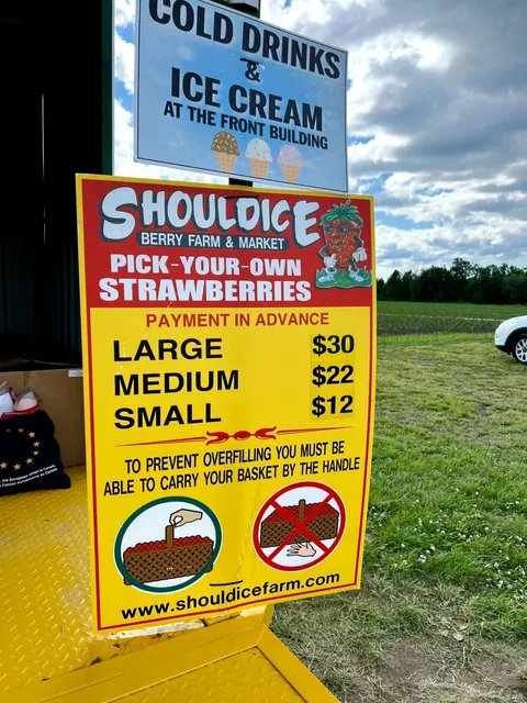 🍓 Ottawa's Sweetest Summer Tradition 