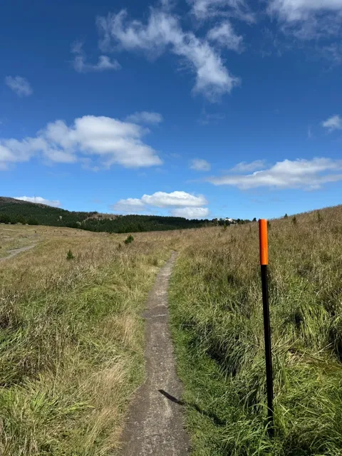 How to Explore Christchurch: Don’t Miss This FREE Scenic Gondola Ride!