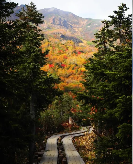 Nagano's Hakuba Village is Worth the Visit in Hokkaido 🚠