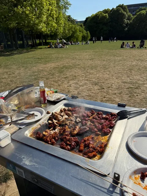 🇬🇧 Grilling in London’s Parks Like a Pro! 🍖🔥