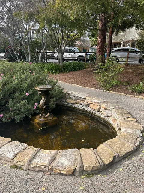 California Highway 1’s Hidden Ocean View Spots! A Romantic Coastal Jou