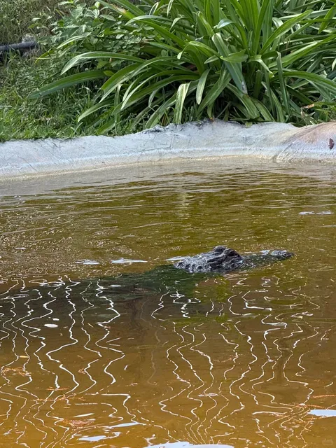 Such adorable creatures! 