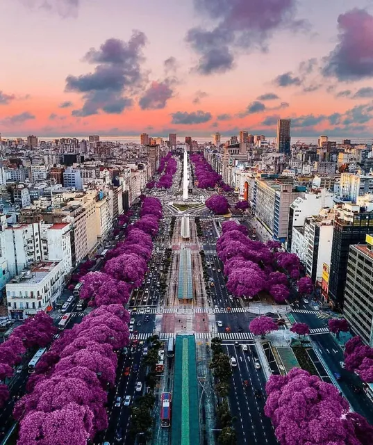  Let's Go to South America ~ Buenos Aires, Argentina​​
