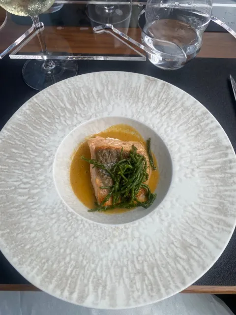 🚌 A Delicious Lunch on a Luxury Bus! 🚌