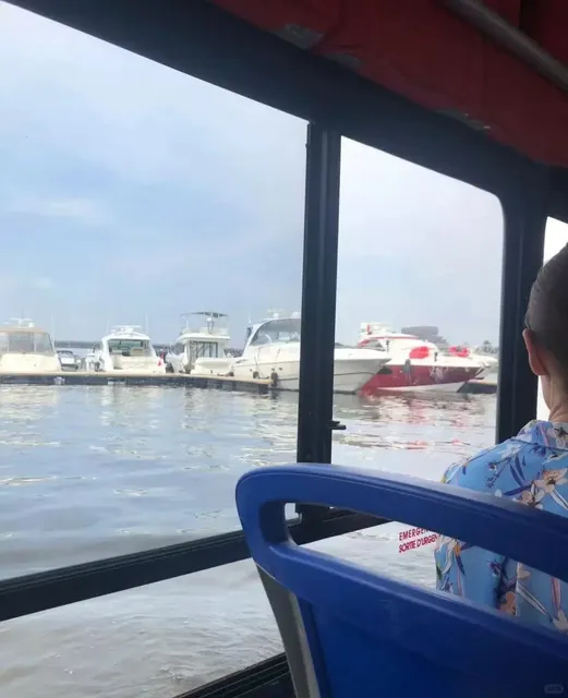 🇨🇦 Ottawa's MUST-TRY Amphibious Adventure! 🚌💦