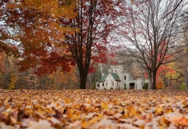 🍂 North Chagrin Reservation | A Forested Retreat in Cleveland's