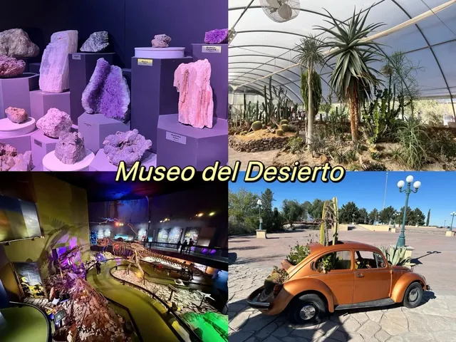 Weekend in Mexico｜Saltillo