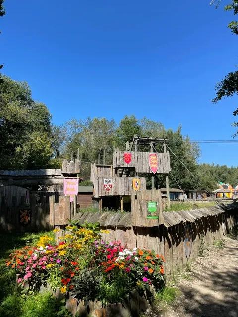 Great Weekend Outing in Paris! Tree Climbing
