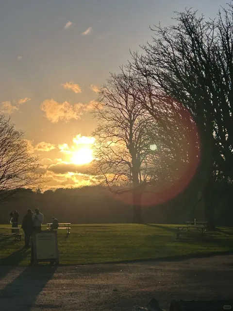 🦌 Wollaton Deer Park is SO Photogenic!