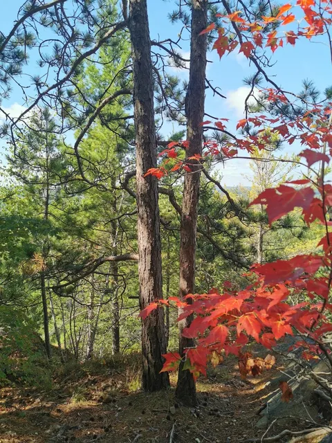 🍁 Fall Foliage Escape! 9 Fairytale Towns Near Toronto, Canada! 🇨🇦