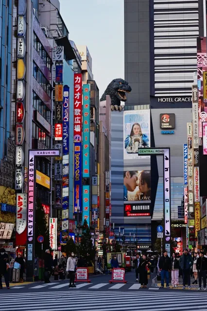 🔥 The Ultimate Tokyo Nightlife Experience: [Kabukicho Street](2)