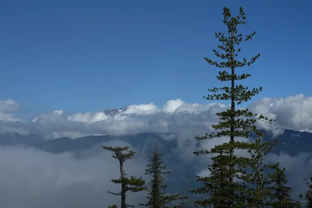 🇨🇦 Easiest Trail Near Vancouver → Sea to Sky Gondola 🚡