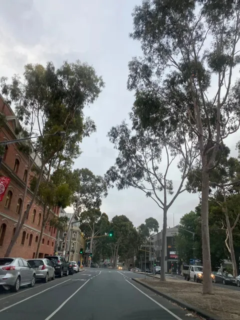 Geelong: Australia’s Serene Seaside Sanctuary 🌊✨