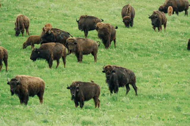 📍 Dallas → OKC → Kansas City | 4 Days & 3 Nights EP2