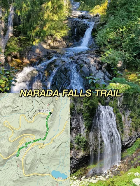 Seattle | "Conquering" Mount Rainier